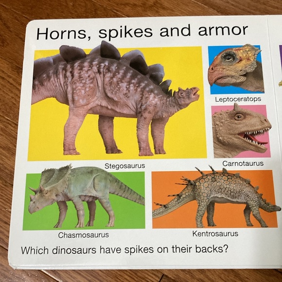 For the love of  DINOSAURS - Dino Figurine, Big Book & Floor Puzzle (48 pieces) - Picture 7 of 16